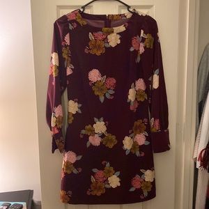 Long Sleeve Floral Dress (Petites)
